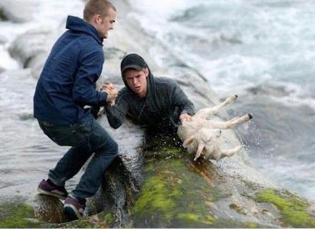 Two Men Rescuing a Sheep (Pic)