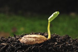 Why isn't my prophesy coming to pass?