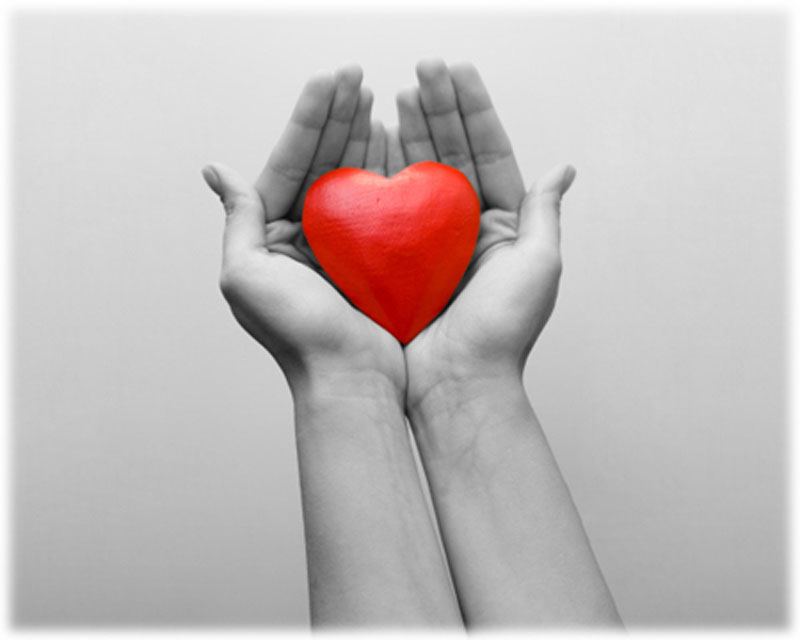 give