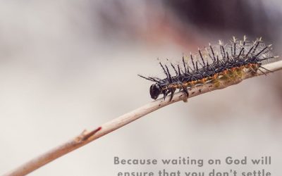 Patience. Here’s Why You Can’t Neglect It.