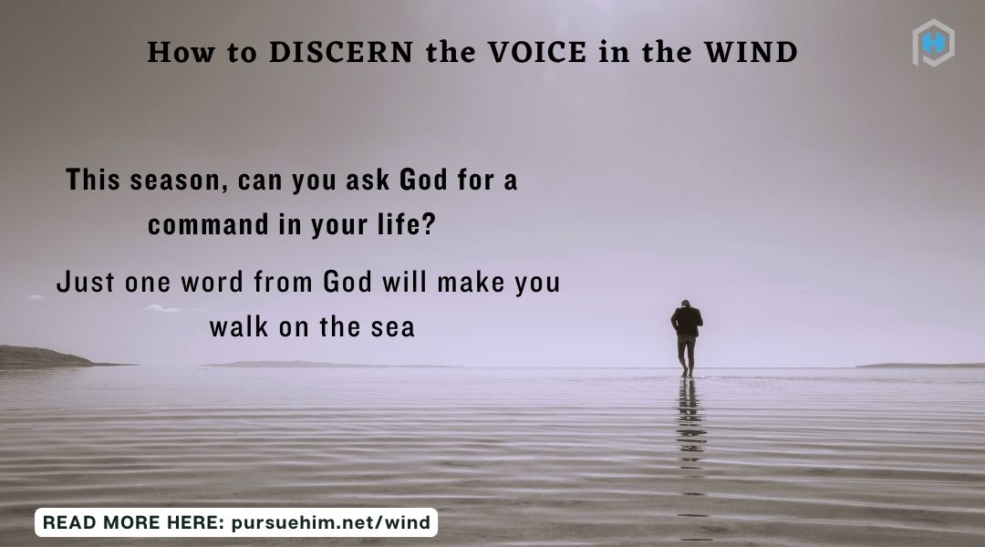 Voice in the wind Voice in the wind